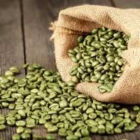 Green Coffee Bean CogniHoney™ Ingredient
