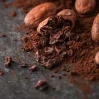 Theobromine CogniHoney™ Ingredient
